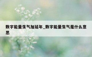 数字能量生气加延年_数字能量生气是什么意思