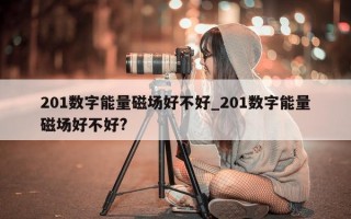 201 数字能量磁场好不好_201 数字能量磁场好不好?