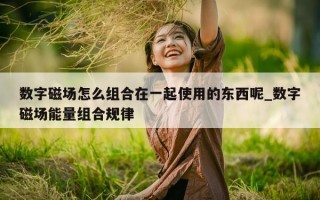 数字磁场怎么组合在一起使用的东西呢_数字磁场能量组合规律