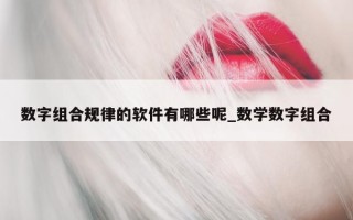 数字组合规律的软件有哪些呢_数学数字组合