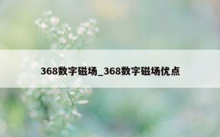 368 数字磁场_368 数字磁场优点