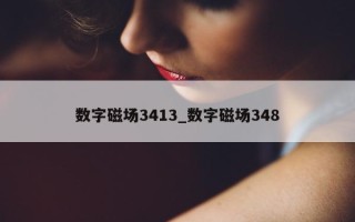 数字磁场 3413_数字磁场 348