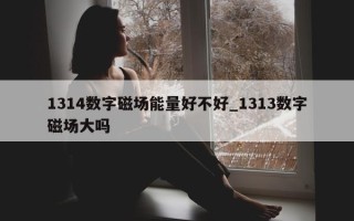 1314 数字磁场能量好不好_1313 数字磁场大吗