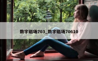 数字磁场 703_数字磁场 70610