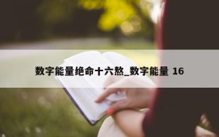 数字能量绝命十六熬_数字能量 16