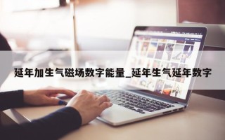 延年加生气磁场数字能量_延年生气延年数字