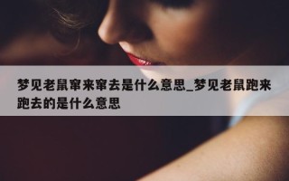 梦见老鼠窜来窜去是什么意思_梦见老鼠跑来跑去的是什么意思