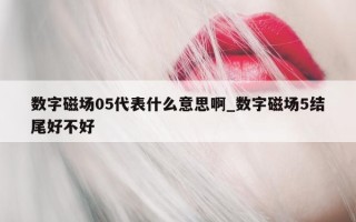 数字磁场 05 代表什么意思啊_数字磁场 5 结尾好不好