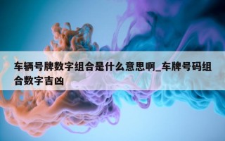 车辆号牌数字组合是什么意思啊_车牌号码组合数字吉凶