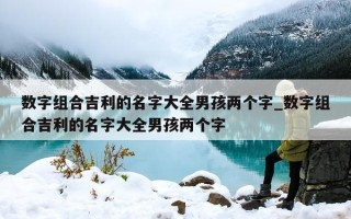 数字组合吉利的名字大全男孩两个字_数字组合吉利的名字大全男孩两个字