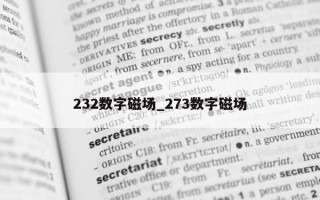 232数字磁场_273数字磁场