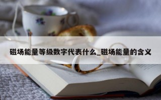 磁场能量等级数字代表什么_磁场能量的含义