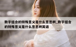 数字组合的特殊意义是什么意思啊_数字组合的特殊意义是什么意思啊英语