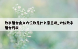 数字组合含义六位数是什么意思啊_六位数字组合列表