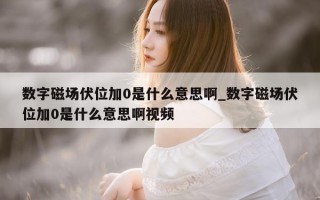 数字磁场伏位加 0 是什么意思啊_数字磁场伏位加 0 是什么意思啊视频