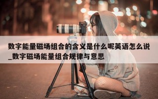 数字能量磁场组合的含义是什么呢英语怎么说_数字磁场能量组合规律与意思