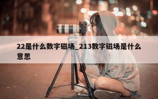 22 是什么数字磁场_213 数字磁场是什么意思