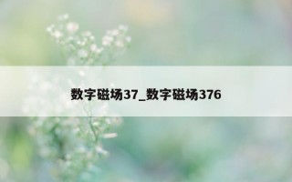 数字磁场37_数字磁场376