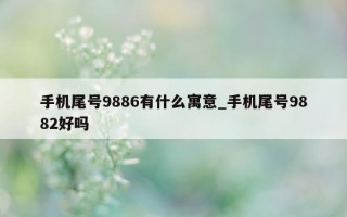 手机尾号 9886 有什么寓意_手机尾号 9882 好吗