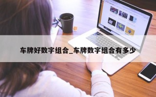 车牌好数字组合_车牌数字组合有多少