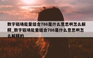 数字磁场能量组合786是什么意思啊怎么解释_数字磁场能量组合786是什么意思啊怎么解释的