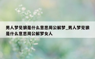 男人梦见狼是什么意思周公解梦_男人梦见狼是什么意思周公解梦女人