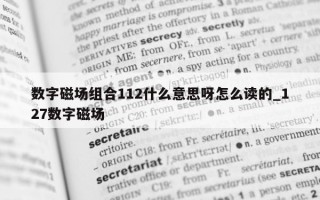 数字磁场组合 112 什么意思呀怎么读的_127 数字磁场