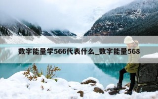 数字能量学 566 代表什么_数字能量 568