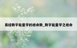 易经数字能量学的绝命数_数字能量学之绝命