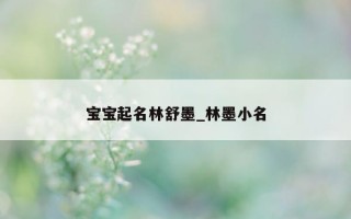 宝宝起名林舒墨_林墨小名