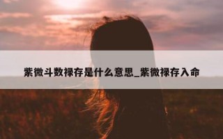 紫微斗数禄存是什么意思_紫微禄存入命