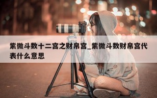 紫微斗数十二宫之财帛宫_紫微斗数财帛宫代表什么意思