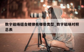 数字磁场组合规律有哪些类型_数字磁场对照总表