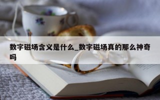 数字磁场含义是什么_数字磁场真的那么神奇吗