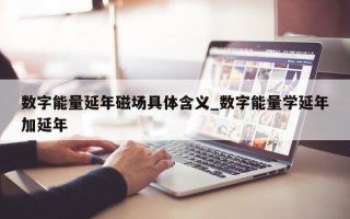 数字能量延年磁场具体含义_数字能量学延年加延年