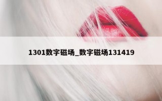 1301 数字磁场_数字磁场 131419