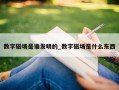 数字磁场是谁发明的_数字磁场是什么东西