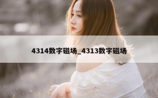 4314 数字磁场_4313 数字磁场