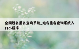 全国姓名重名查询系统_姓名重名查询系统入口小程序