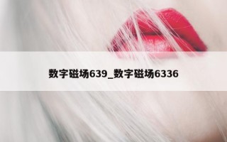 数字磁场 639_数字磁场 6336