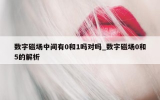 数字磁场中间有 0 和 1 吗对吗_数字磁场 0 和 5 的解析