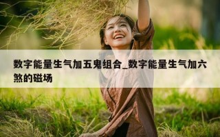 数字能量生气加五鬼组合_数字能量生气加六煞的磁场