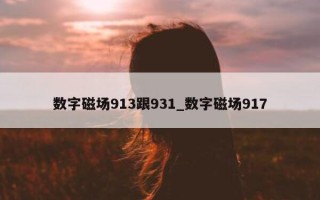 数字磁场 913 跟 931_数字磁场 917