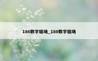 186 数字磁场_180 数字磁场