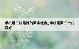 手机后三位最好的数字组合_手机尾数三个几最好