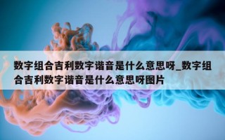 数字组合吉利数字谐音是什么意思呀_数字组合吉利数字谐音是什么意思呀图片