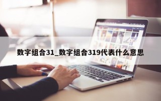 数字组合 31_数字组合 319 代表什么意思