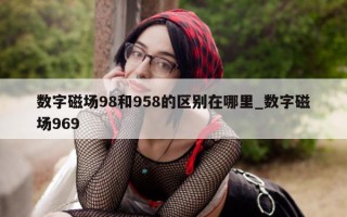 数字磁场 98 和 958 的区别在哪里_数字磁场 969