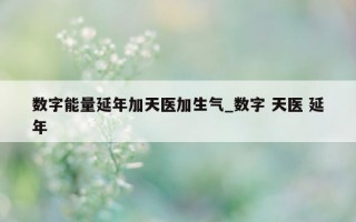 数字能量延年加天医加生气_数字 天医 延年