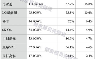 全球动力电池格局悄然生变，中企市占率能否进一步提升